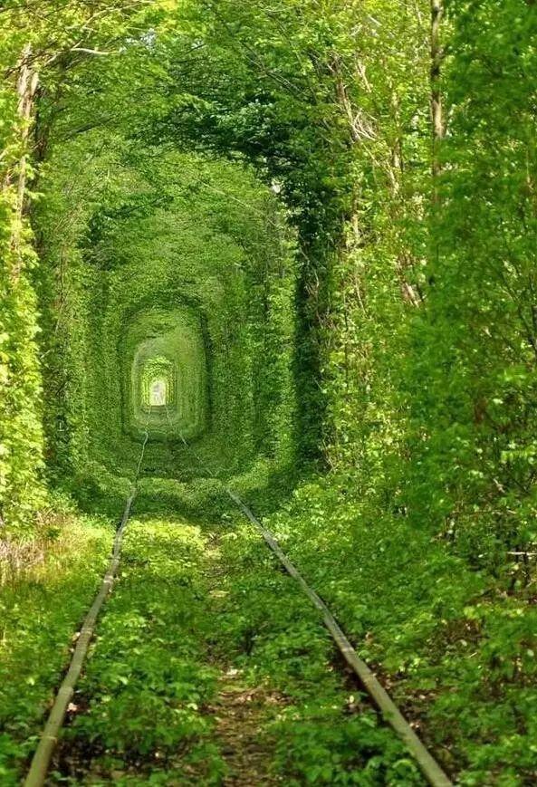 世界上最幸福的100件事情，你做过几件