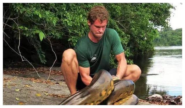 世界上“重量级”巨蛇，可重达250公斤，但远没有电影中恐怖！