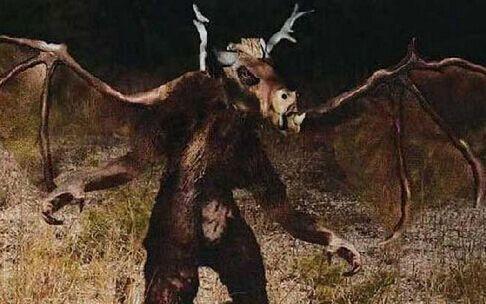 盘点世界十大神秘生物有哪些？