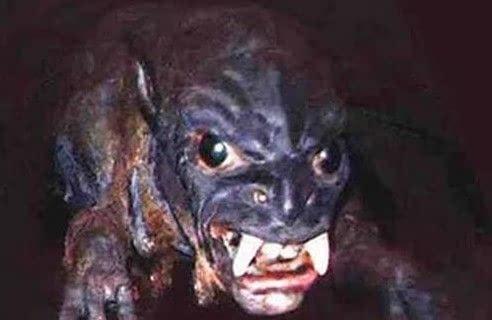 盘点世界十大神秘生物有哪些？