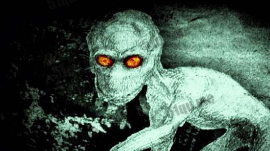 盘点世界十大神秘生物有哪些？