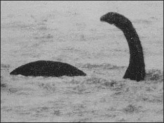 盘点世界十大神秘生物有哪些？