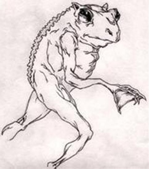 盘点世界十大神秘生物有哪些？