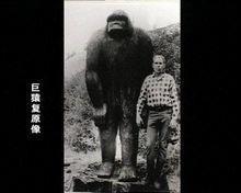 盘点世界十大神秘生物有哪些？