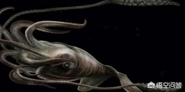 盘点世界十大神秘生物有哪些？