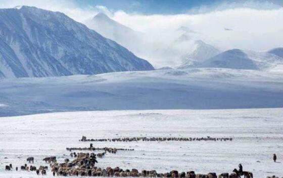 世界上10大最冷的国家，俄罗斯第二，美国第三，蒙古第七