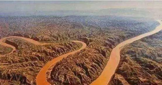 1965年黄河巨龟事件真相揭秘，村民吃了后肠穿肚烂上吊而死