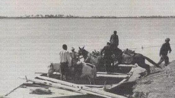 1965年黄河巨龟事件真相揭秘，村民吃了后肠穿肚烂上吊而死