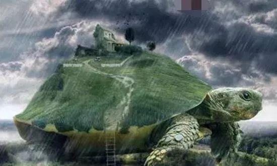 1965年黄河巨龟事件真相揭秘，村民吃了后肠穿肚烂上吊而死