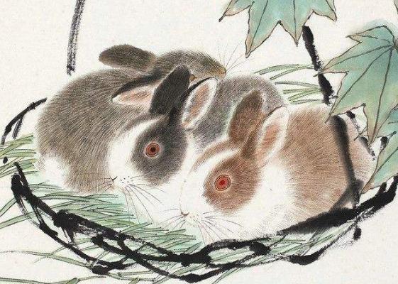 1975年兔兔人的后30年，老一辈说的话不骗人！