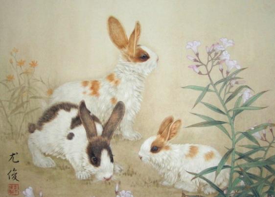 1975年兔兔人的后30年，老一辈说的话不骗人！