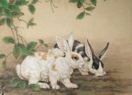 1975年兔兔人的后30年，老一辈说的话不骗人！