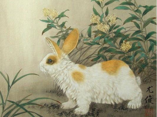 1975年兔兔人的后30年，老一辈说的话不骗人！