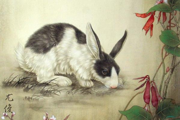 1975年兔兔人的后30年，老一辈说的话不骗人！