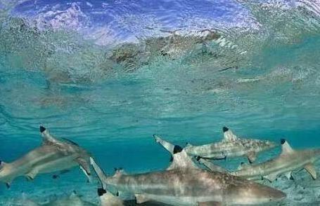 世界上“最危险”的5大水域,美丽却不能下水,空有一副外表!