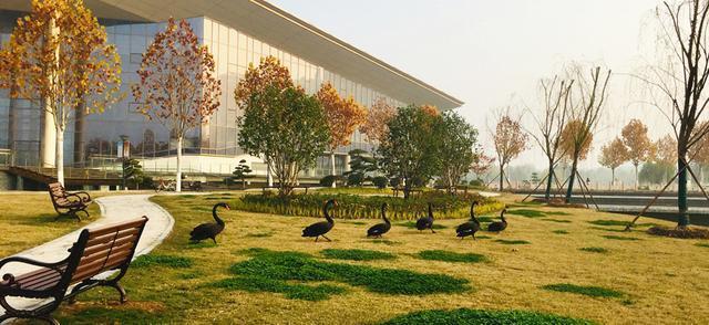 这所医科大学虽是个四非 但实力很强并占尽区域优势