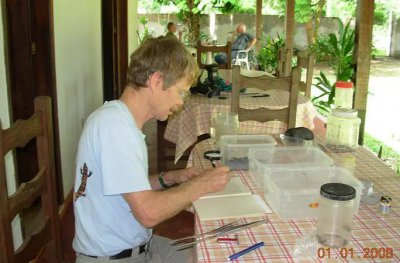 ​世界上咬人最疼的昆虫