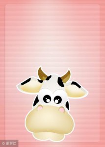 ​1973年出生：45岁苦命牛的后10年