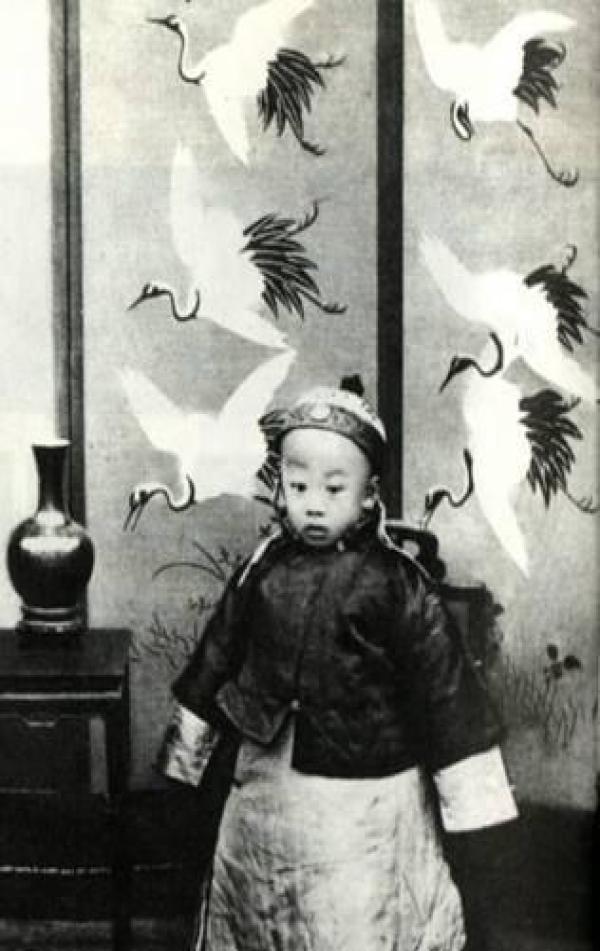 慈禧选择三岁的溥仪继位,也不给他父亲载沣,真相让人佩服