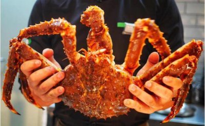 ​世界上“最著名”的4种螃蟹！图1名气最大，图4产自中国！