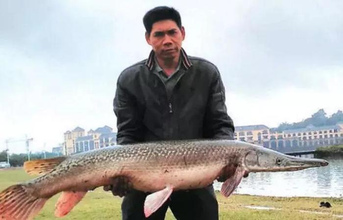 盘点世界十大凶猛罕见的淡水鱼