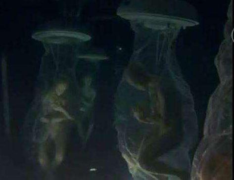 1979年美国人和外星人发生激烈交火的“道西事件”真实吗？