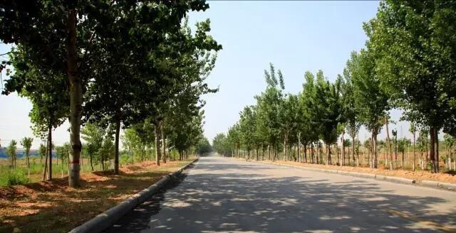 自然与人文之美 邯郸复兴区南牛叫村