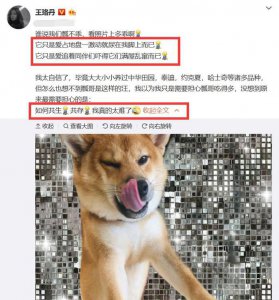 ​有种“吃土”叫王珞丹，收养瓢哥抱怨：拍烂片，肯定因为养不起瓢