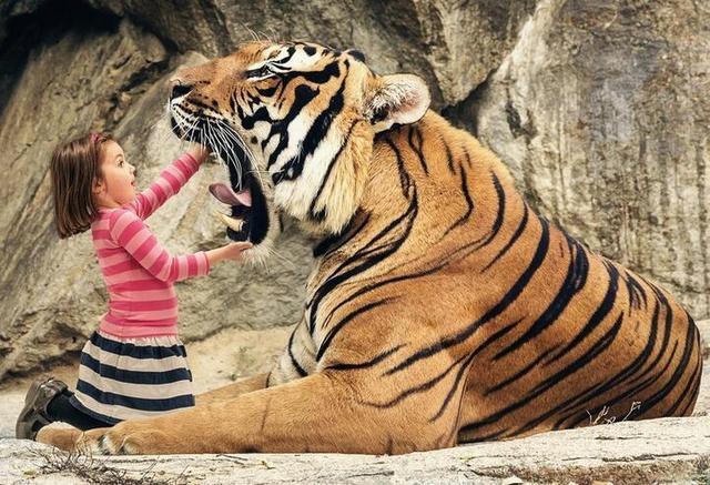 世界上咬合力最强的动物，第一名比三个老虎都厉害