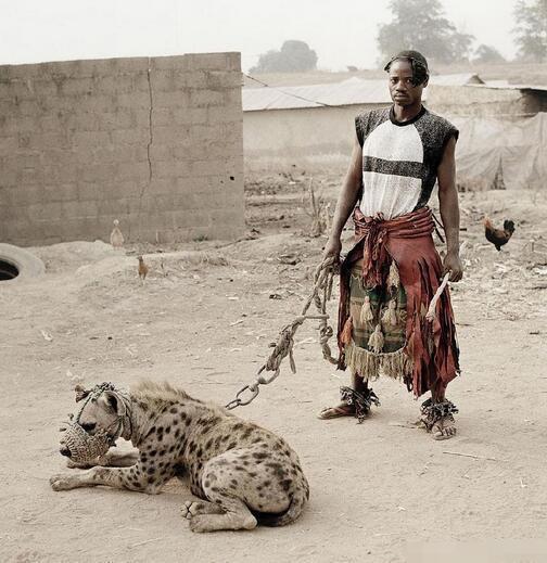 世界上咬合力最强的动物，第一名比三个老虎都厉害