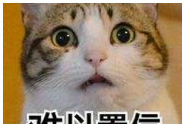 有种“整容”叫明星出道，彭于晏瘦成型男，而她简直认不出