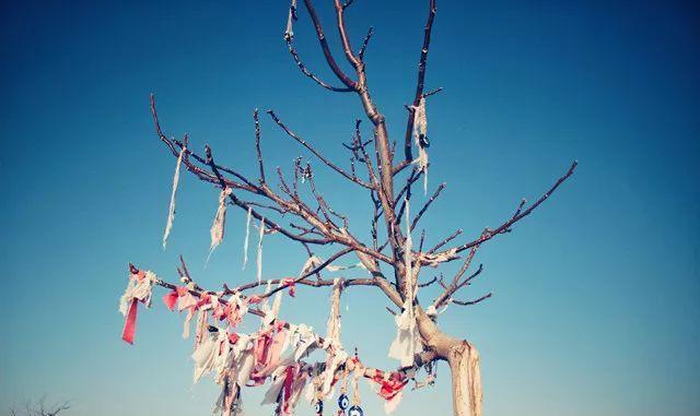 我想要带你去浪漫的土耳其，就算不去东京和巴黎