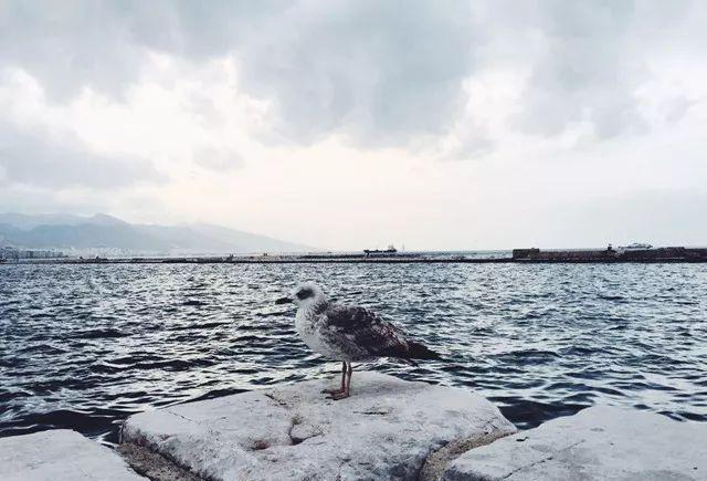 我想要带你去浪漫的土耳其，就算不去东京和巴黎