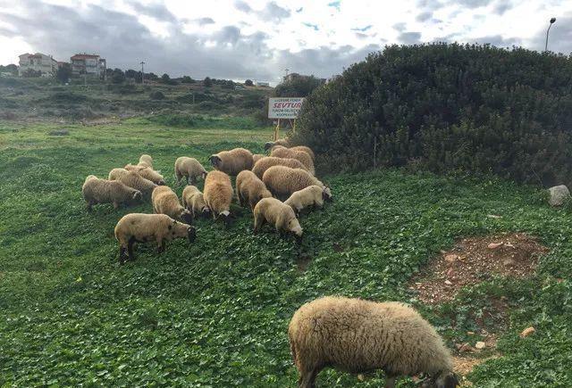 我想要带你去浪漫的土耳其，就算不去东京和巴黎