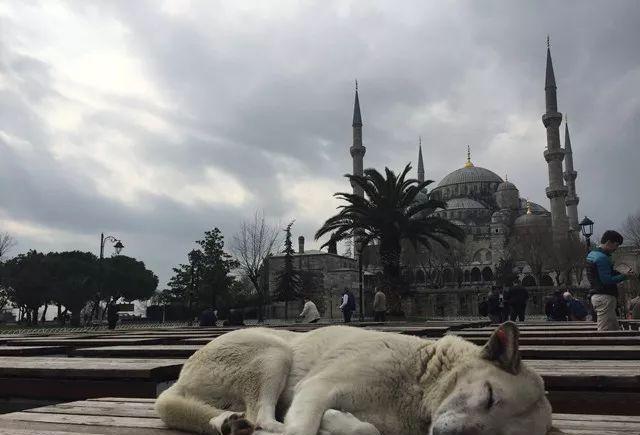 我想要带你去浪漫的土耳其，就算不去东京和巴黎