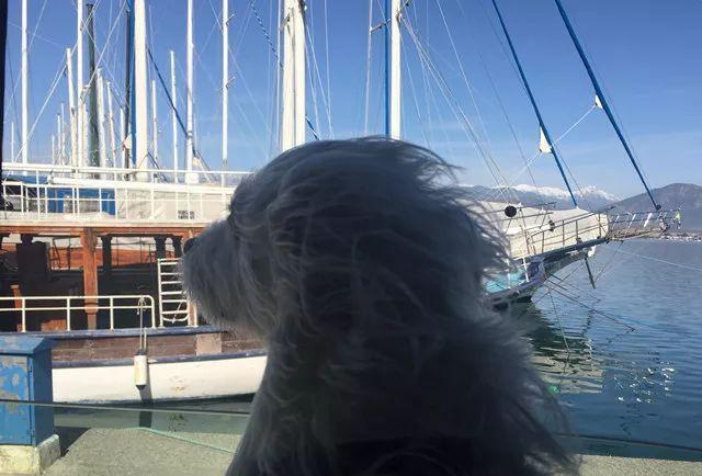 我想要带你去浪漫的土耳其，就算不去东京和巴黎