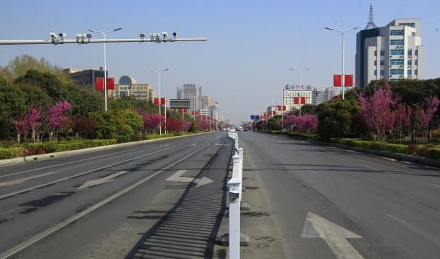 中国最低调的樱花小城4000米樱花大道免费看，游客却不多