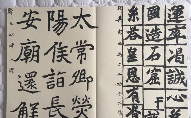 中国美院书法教授鲁大东书法临帖示范20种