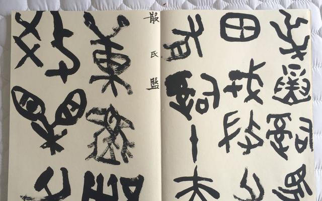 中国美院书法教授鲁大东书法临帖示范20种