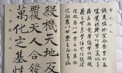 ​中国美院书法教授鲁大东书法临帖示范20种