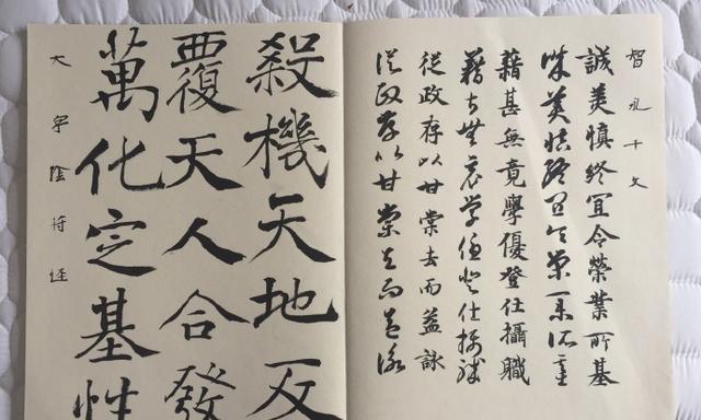 中国美院书法教授鲁大东书法临帖示范20种