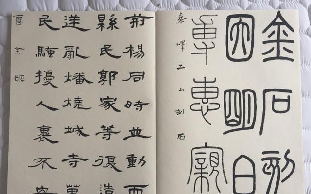 中国美院书法教授鲁大东书法临帖示范20种