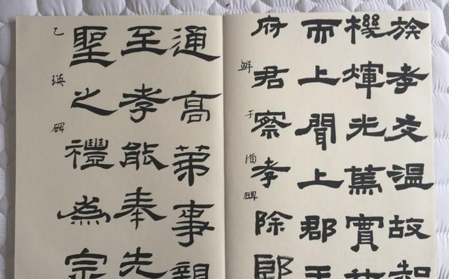 中国美院书法教授鲁大东书法临帖示范20种