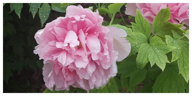 中国最古老的城市：拥有4000多年建城史，不是北京也不是西安