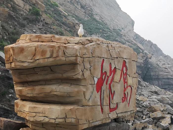 中国最有骨气的城市，被日军杀到只剩36人，如今禁止日本人踏入