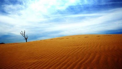 ​中国最“没面子”的沙漠，如今只剩一平方公里，还成为影视基地？