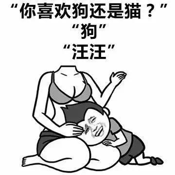 斗图表白两不误, 人生赢家舍你其谁!