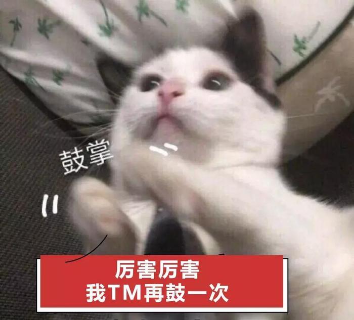 斗图表白两不误, 人生赢家舍你其谁!