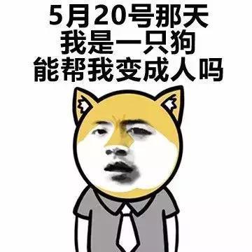 斗图表白两不误, 人生赢家舍你其谁!