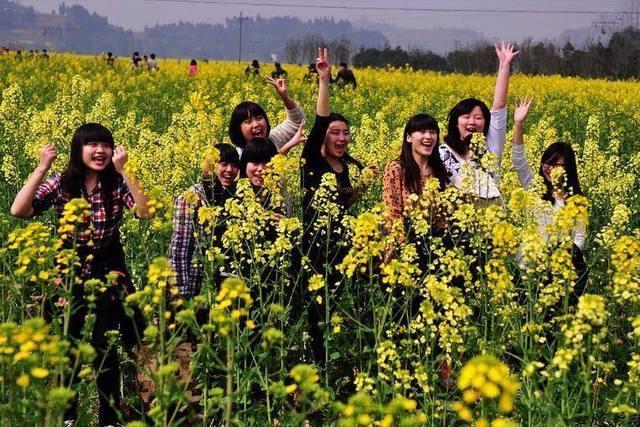 中国油菜花最美的五个地方，处处皆景，你觉得哪里最美？